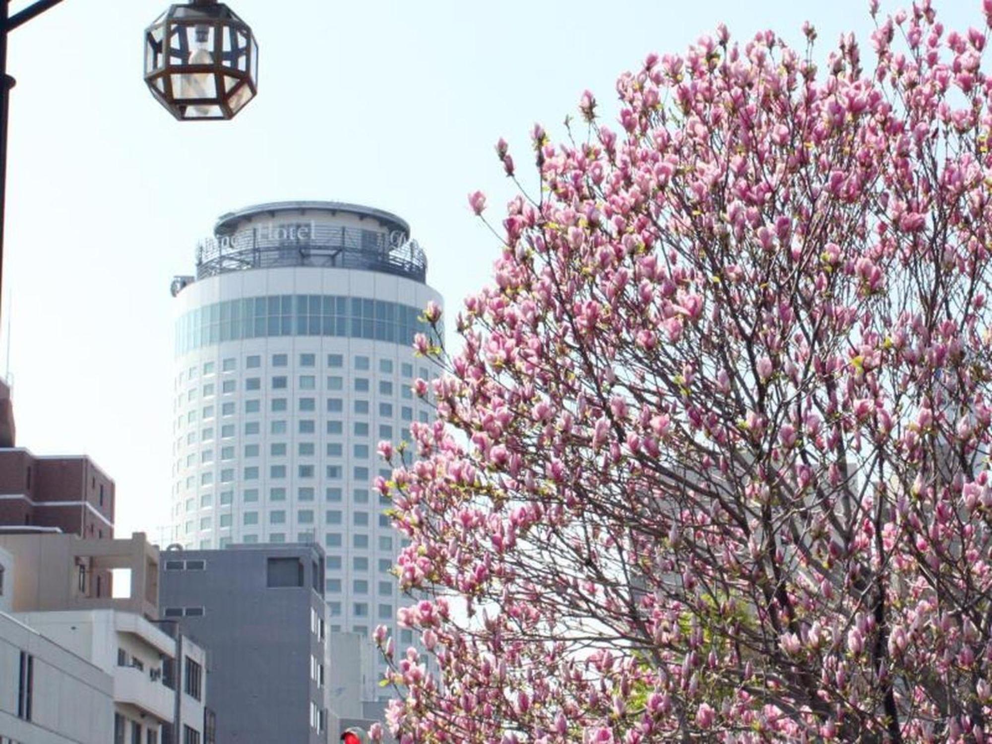 Sapporo Prince Hotel Ngoại thất bức ảnh